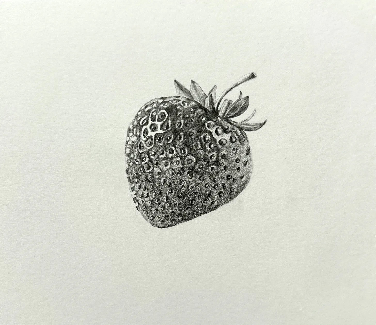 Field Notes Archive - June 2025