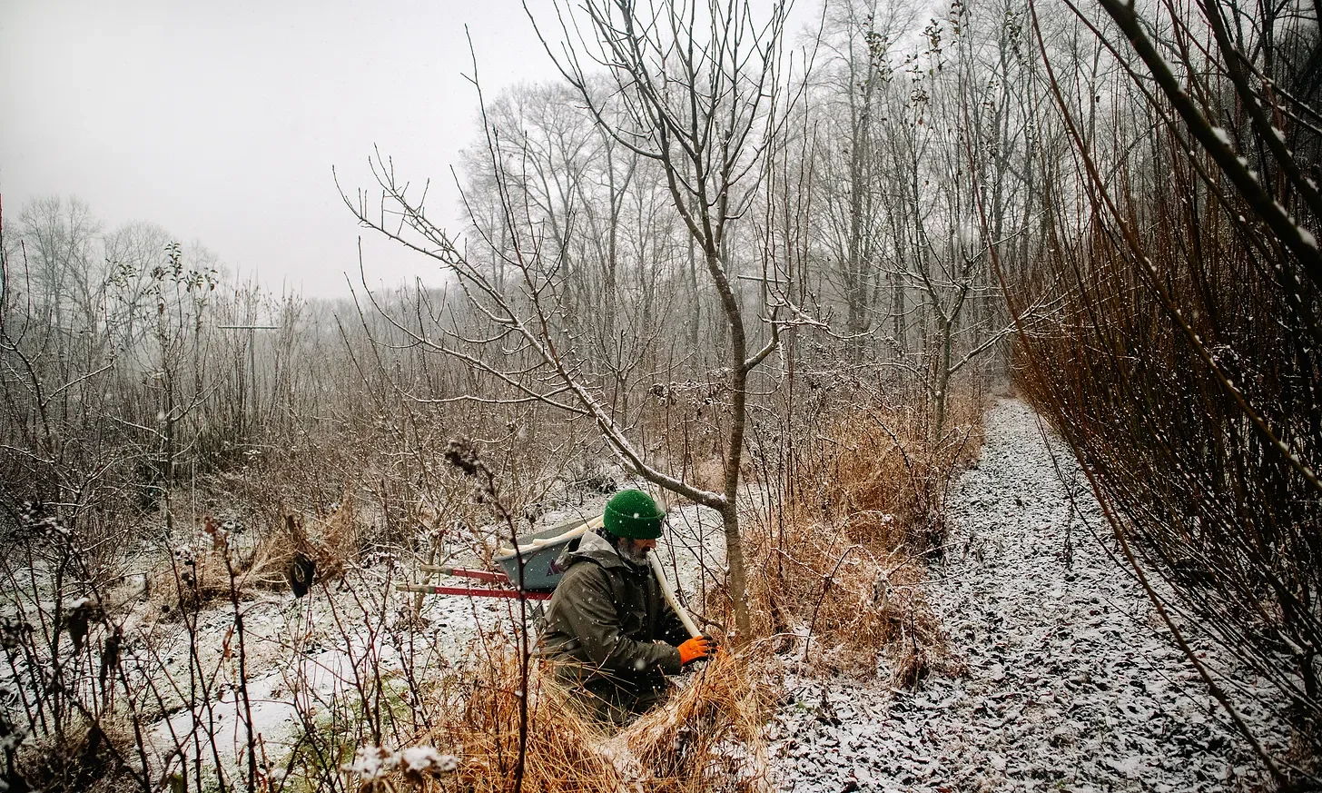 Field Notes Archive - December 2024