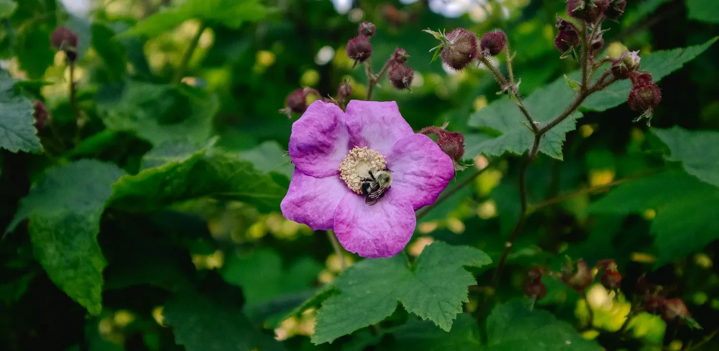Field Notes Archive - May 2024
