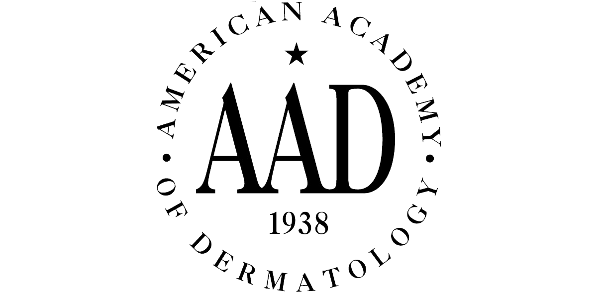 American academy of art