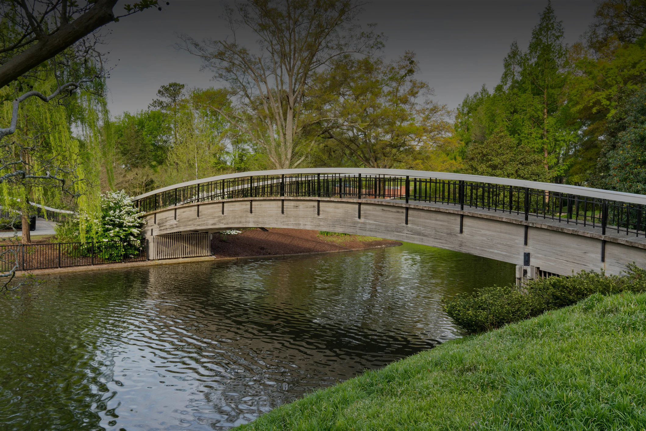 iStock-960314204_Edit.jpg
