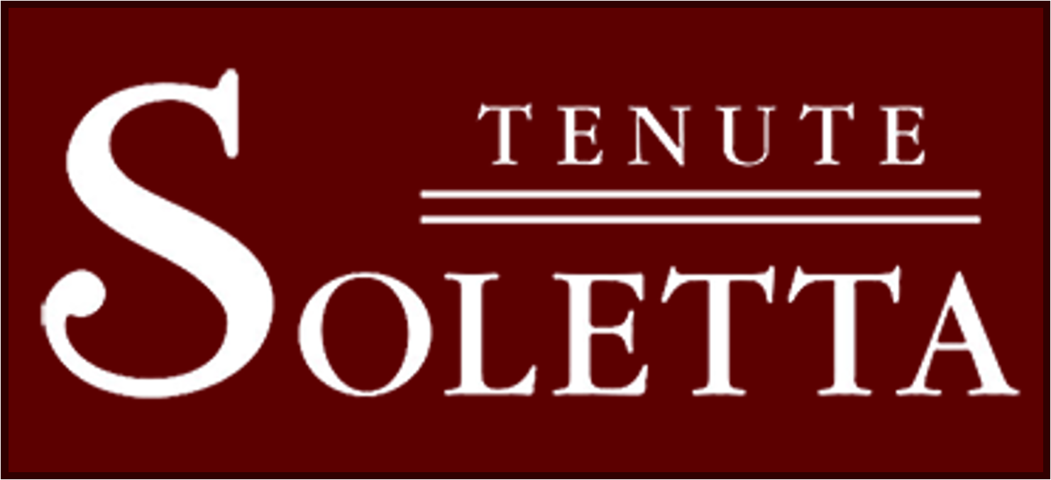 SOLETTA LOGO 3.png