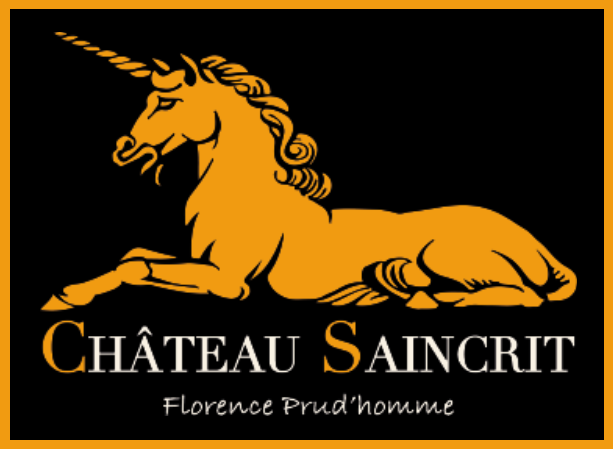 SAINCRIT LOGO.png