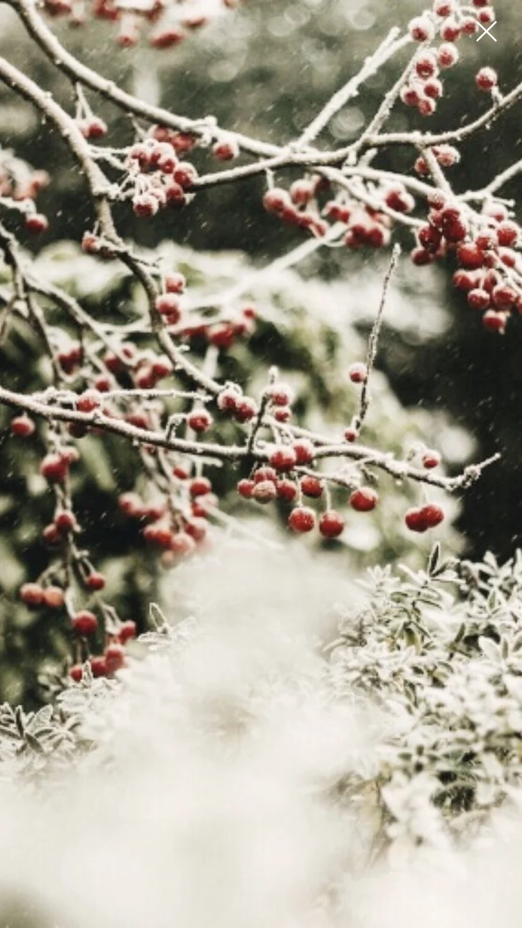 Pondering These Things