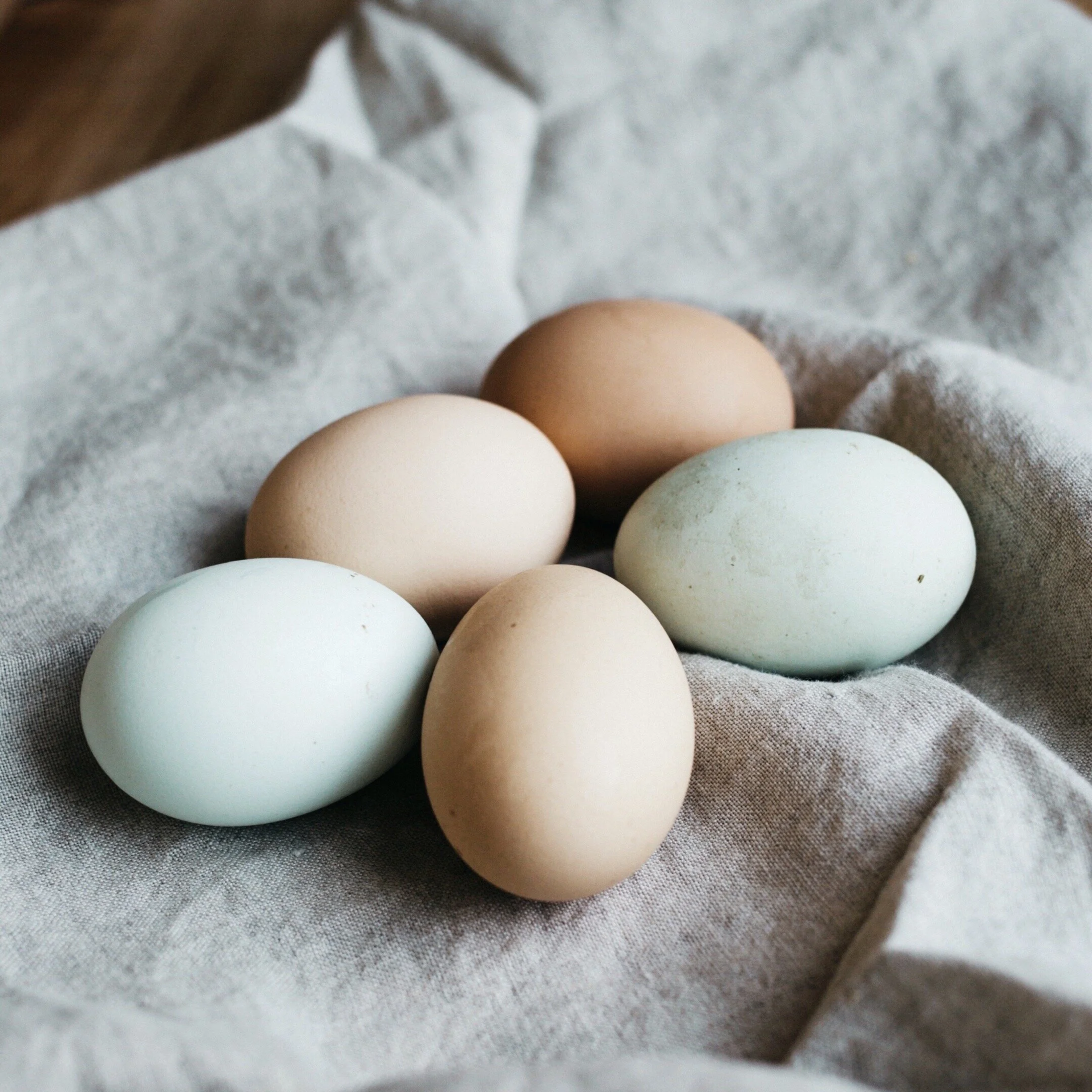 A New, Unchanged Easter