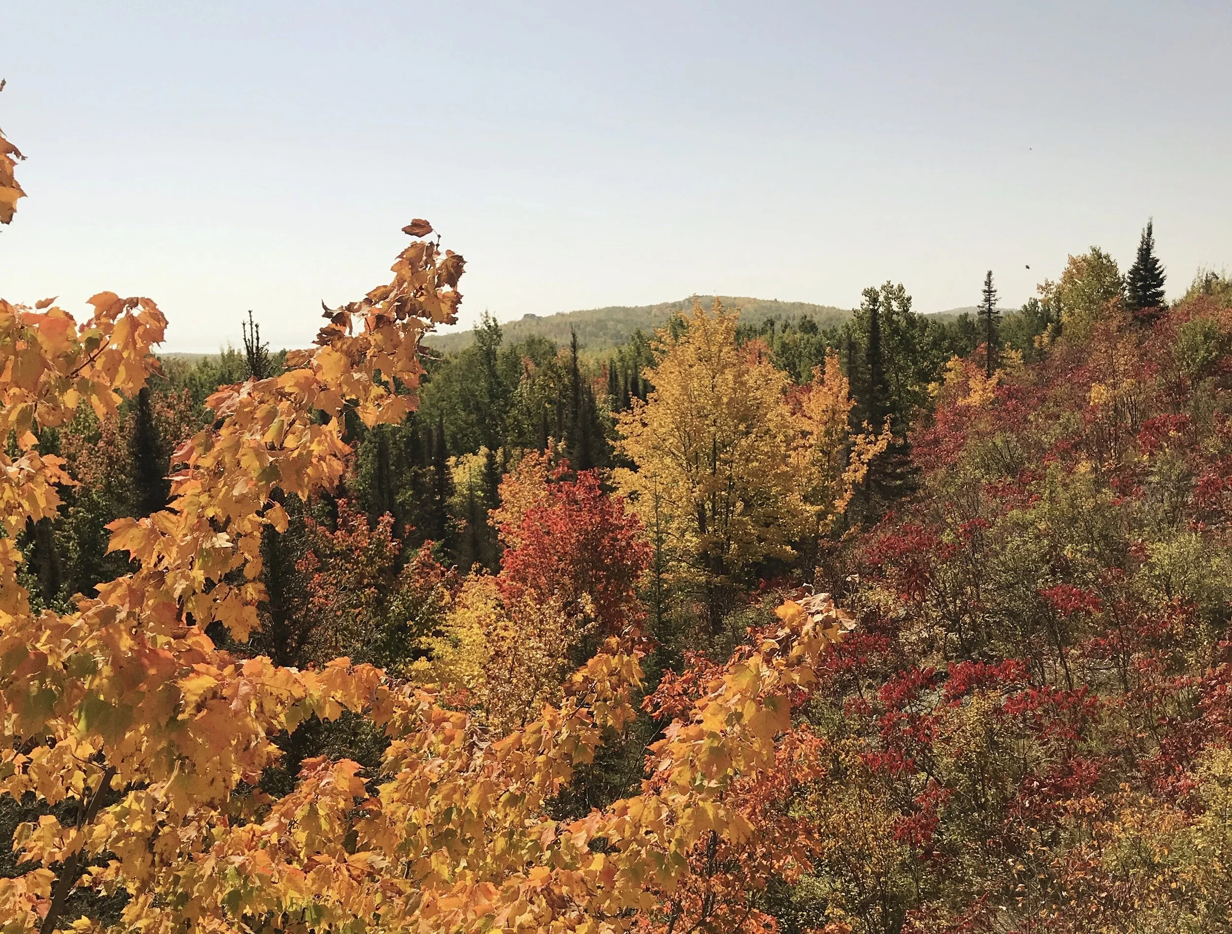 The Best Move I Never Wanted to Make