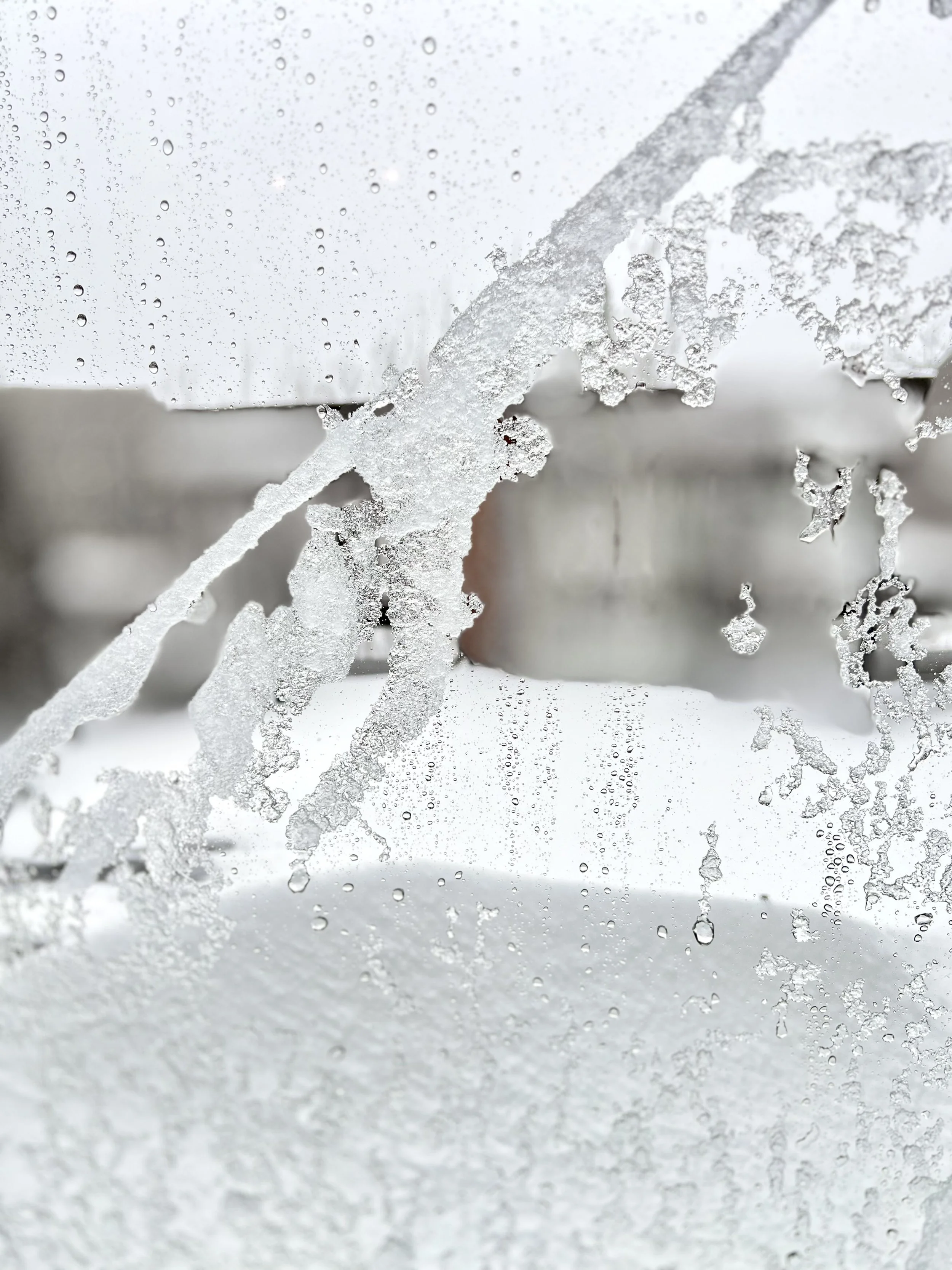 The Late Winter Storm