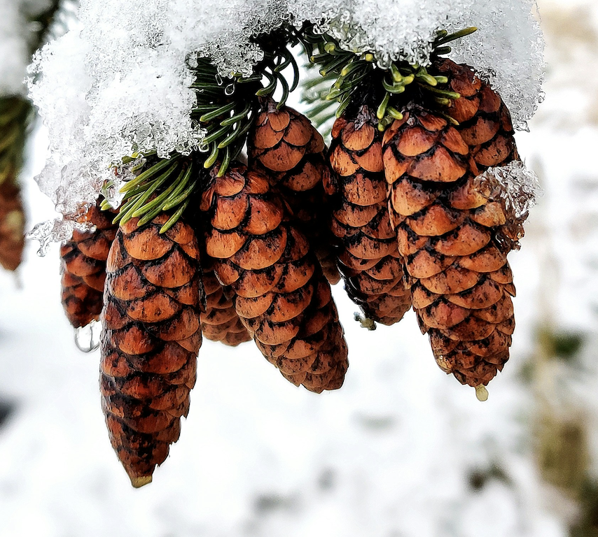 Withstanding the Storm