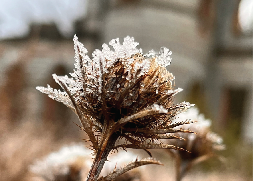 When Faith Gets Real