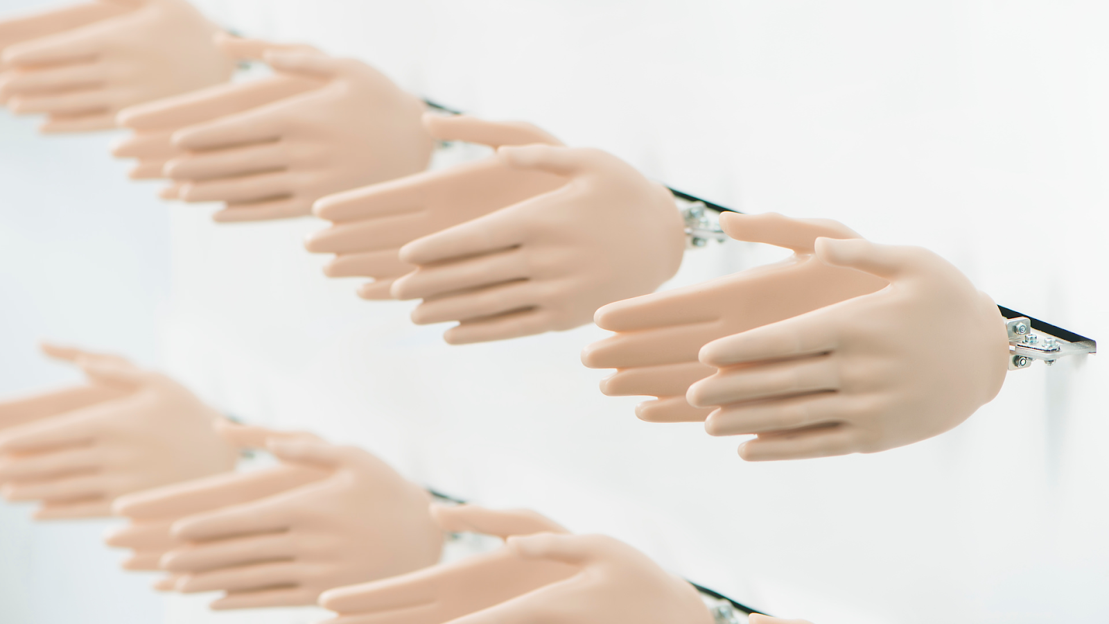 9213BCB6-9607-4D89-A92A-21E5856FFE15.png