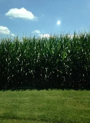 An Outdoor Concert, A Thunderstorm, and a Really Bad GPS