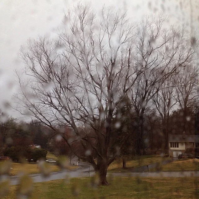 5 Things Hope Is Not...