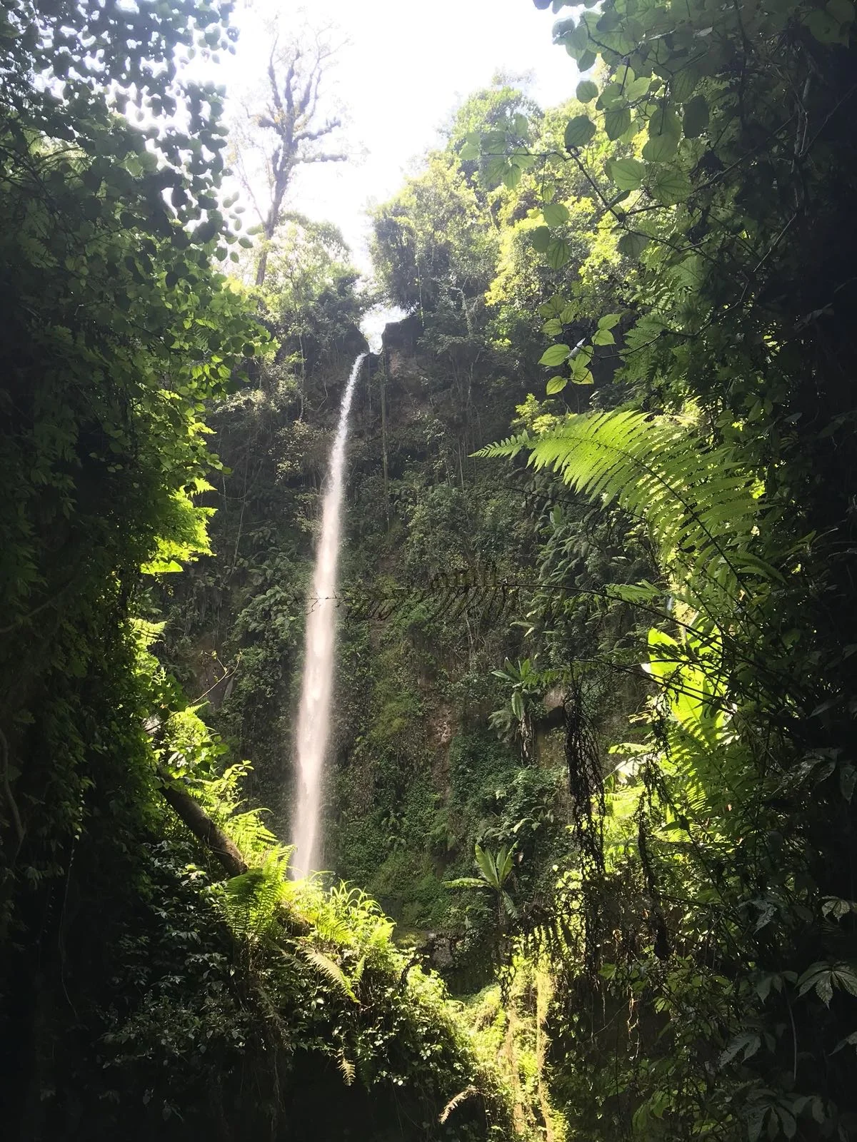 Mount Meru Waterfall.jpg