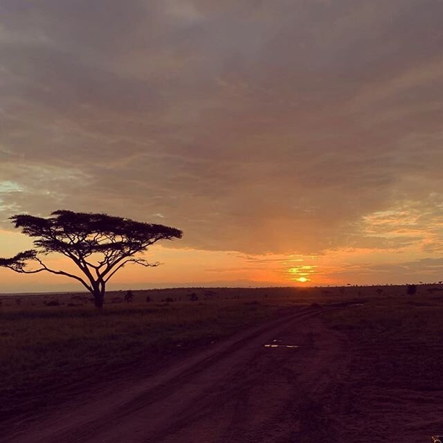 A beautiful sunset is always a perfect way to end a day of game drives. Link in bio! 📸: @birketth