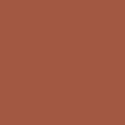 we_bg_rust.png