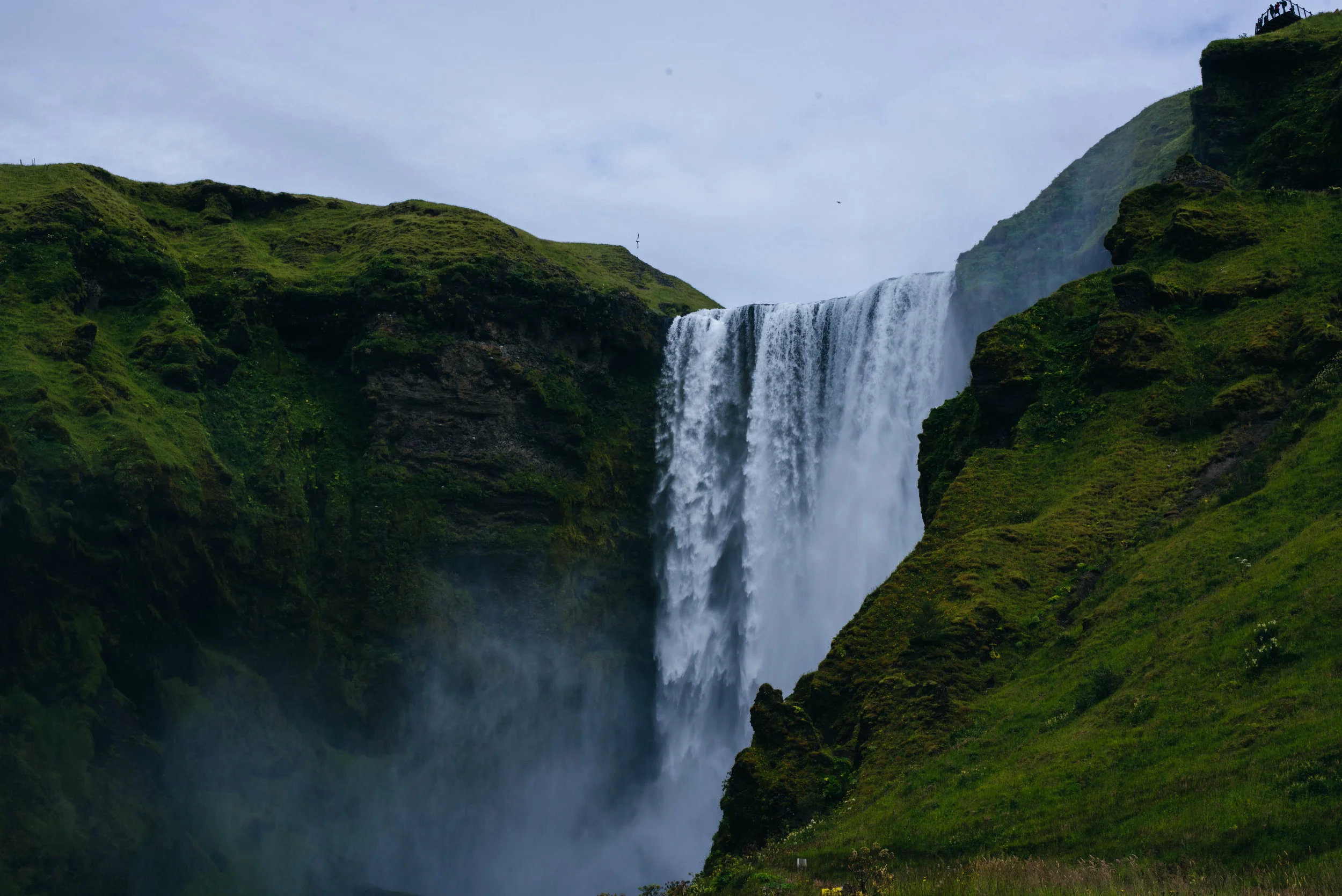 DSC_3642.jpg