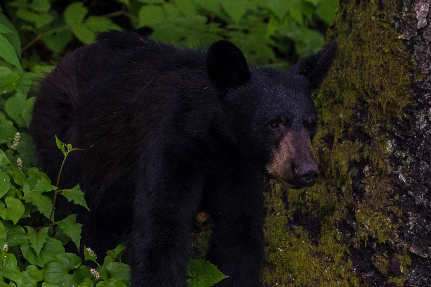 DSC_6122.jpg