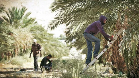 A Step Back for Palestinian Workers' Rights and for Israeli Democracy 