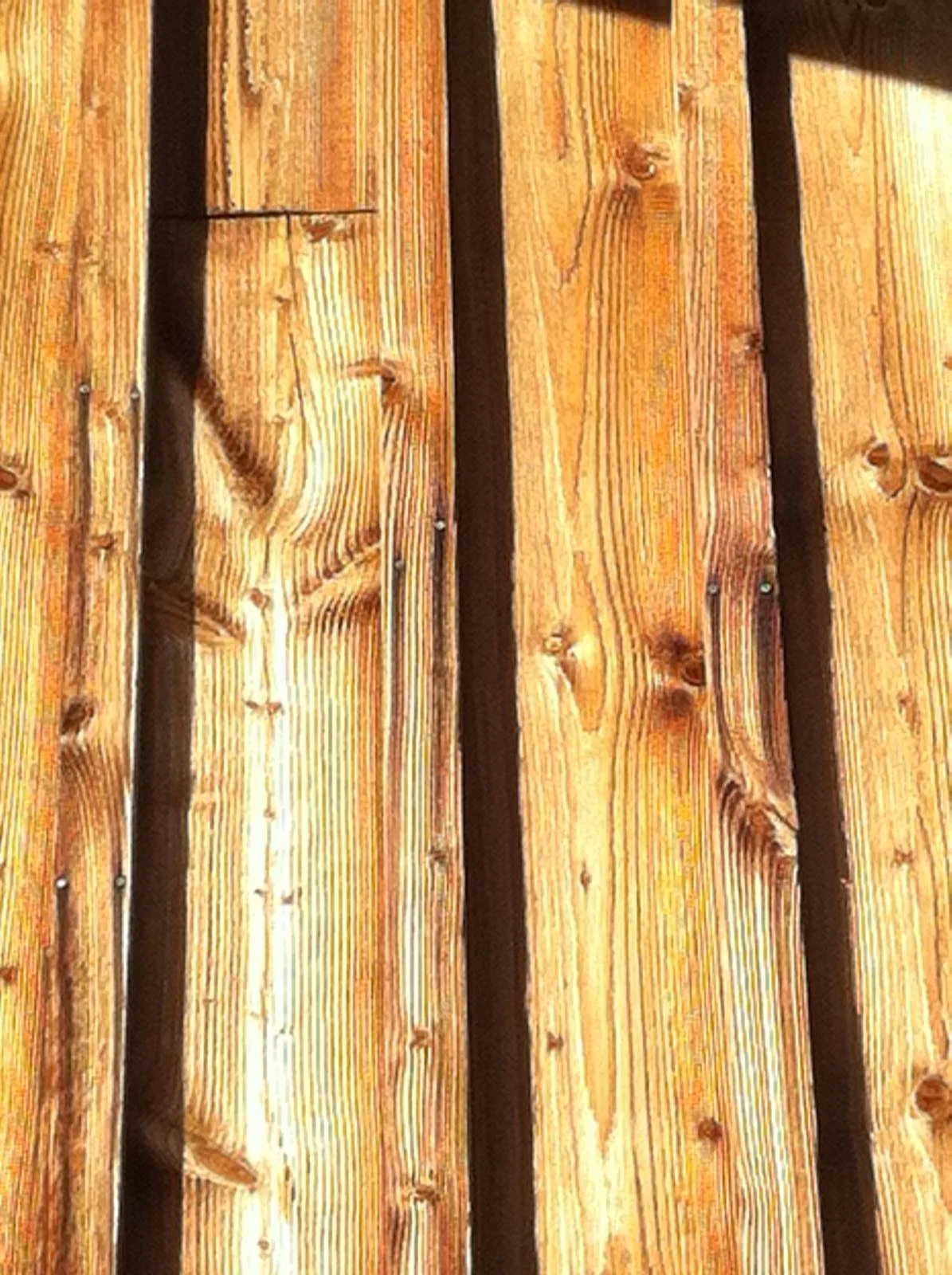 Is Hout altijd Goud?