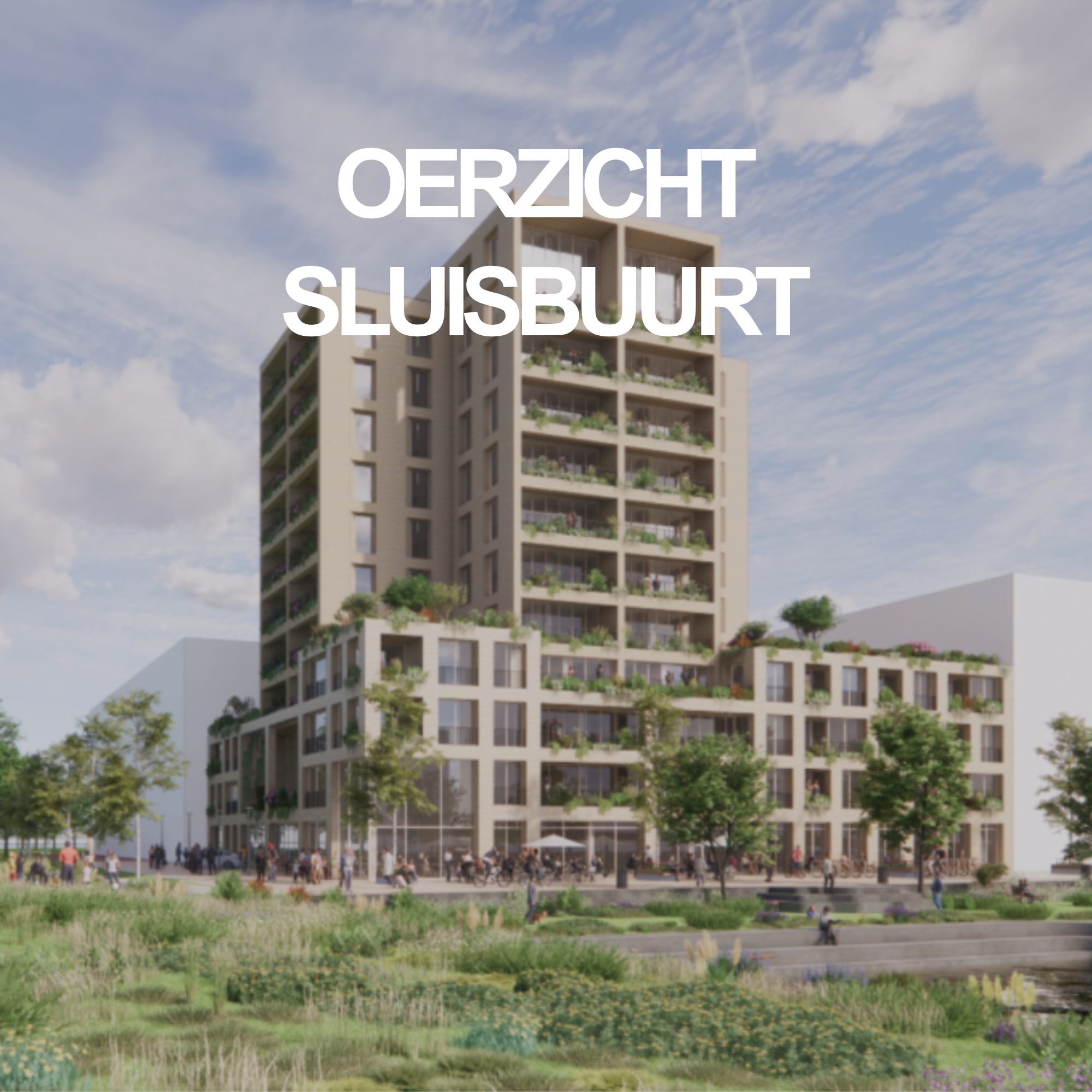 Oerzicht - Sluisbuurt