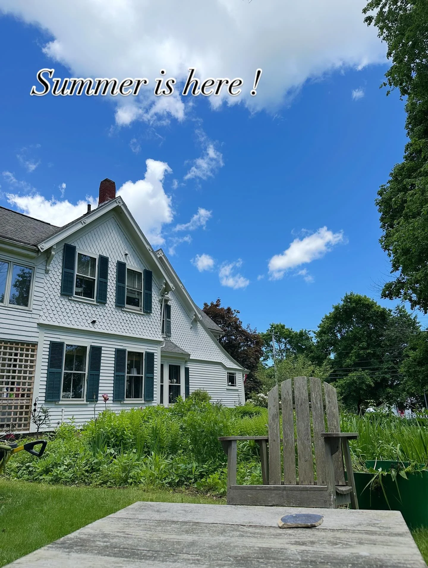 Summer arriving with a vengeance #260main❤️ 🥵#happysummer #bluesky #blue #summer er