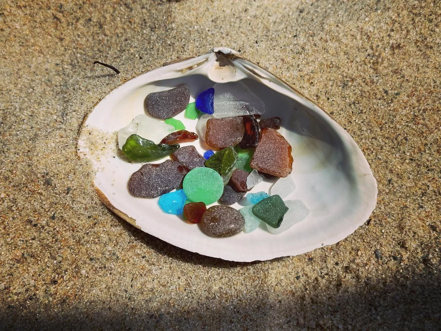 The hunt is as fun as the find! Once in a blue moon haul #seaglassofinstagram #august #sagamorebeach