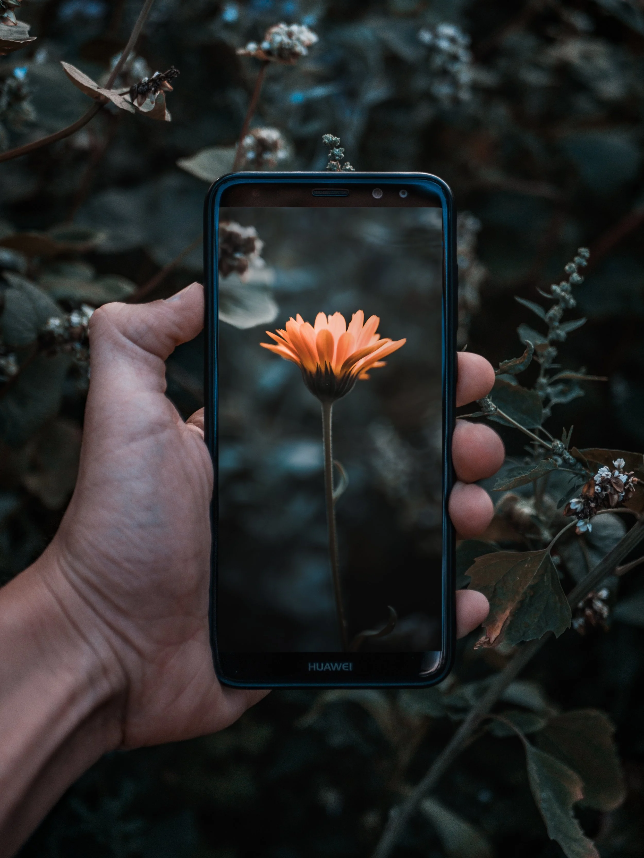 Digital Transformation