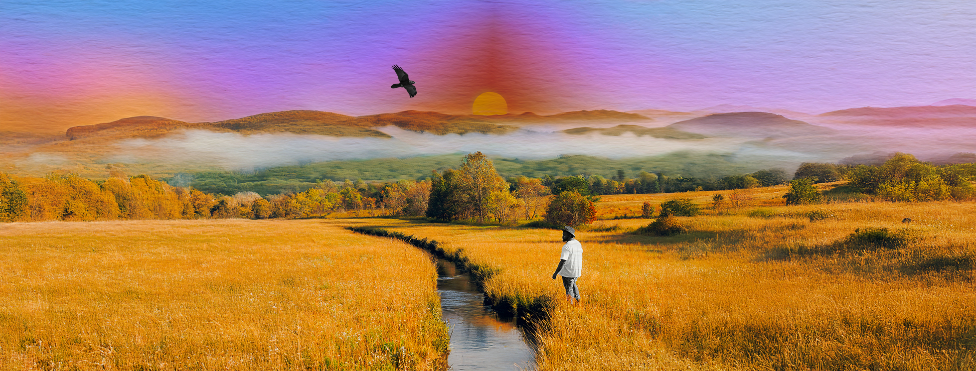 Tanasi Header.png