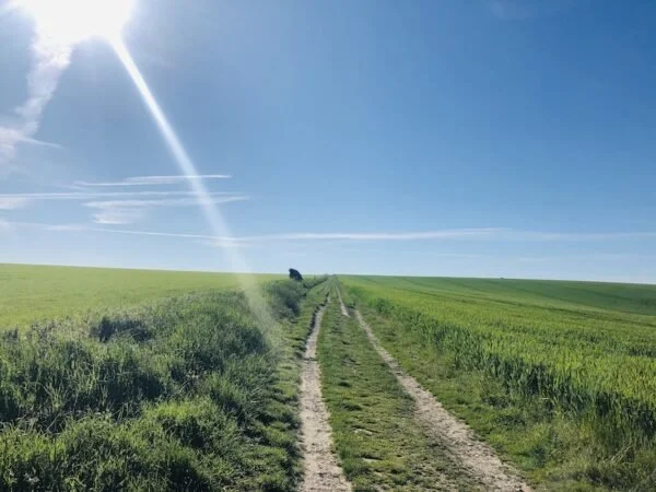 The-track-along-the-field-600x450.jpeg
