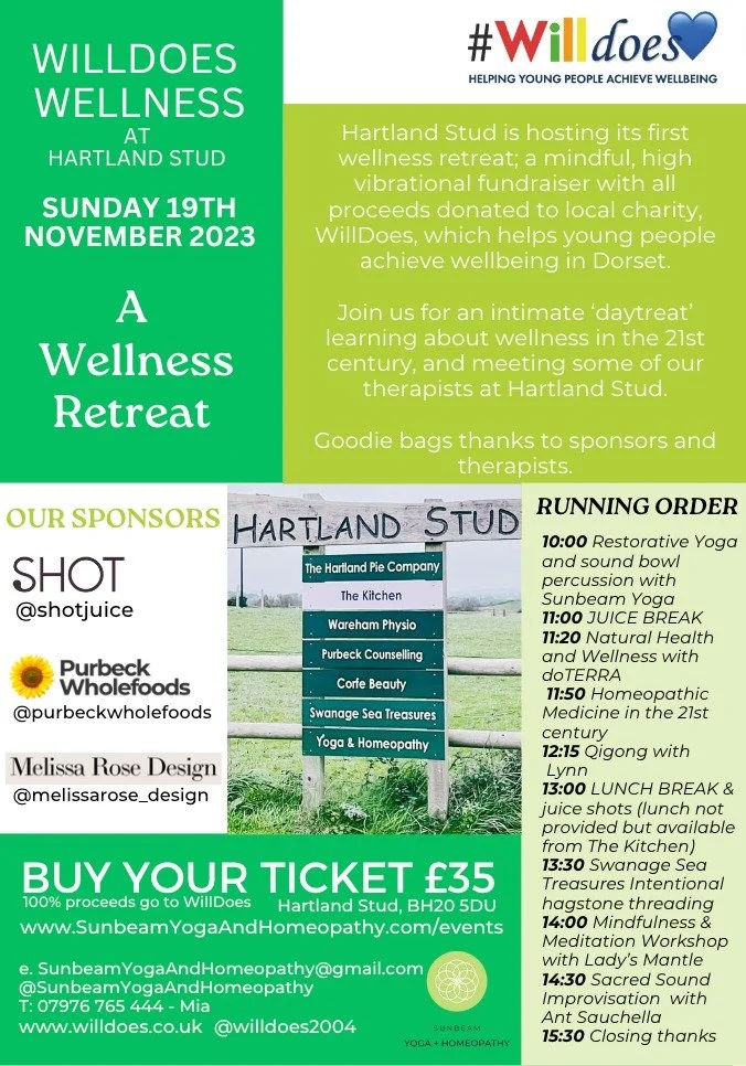 #Willdoes Wellness Retreat with Sunbeam Yoga