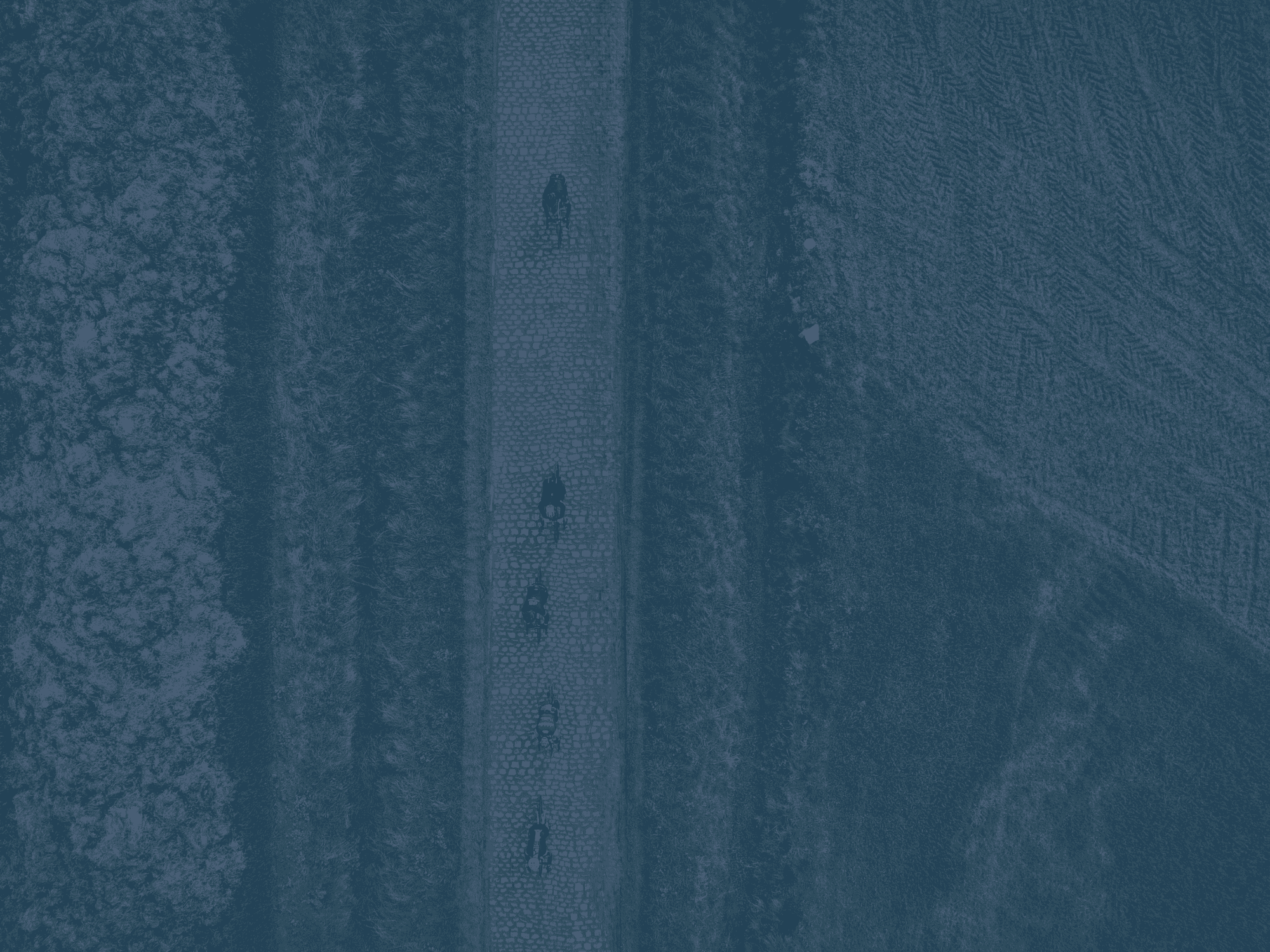 Don't Just Write Training Plans.png