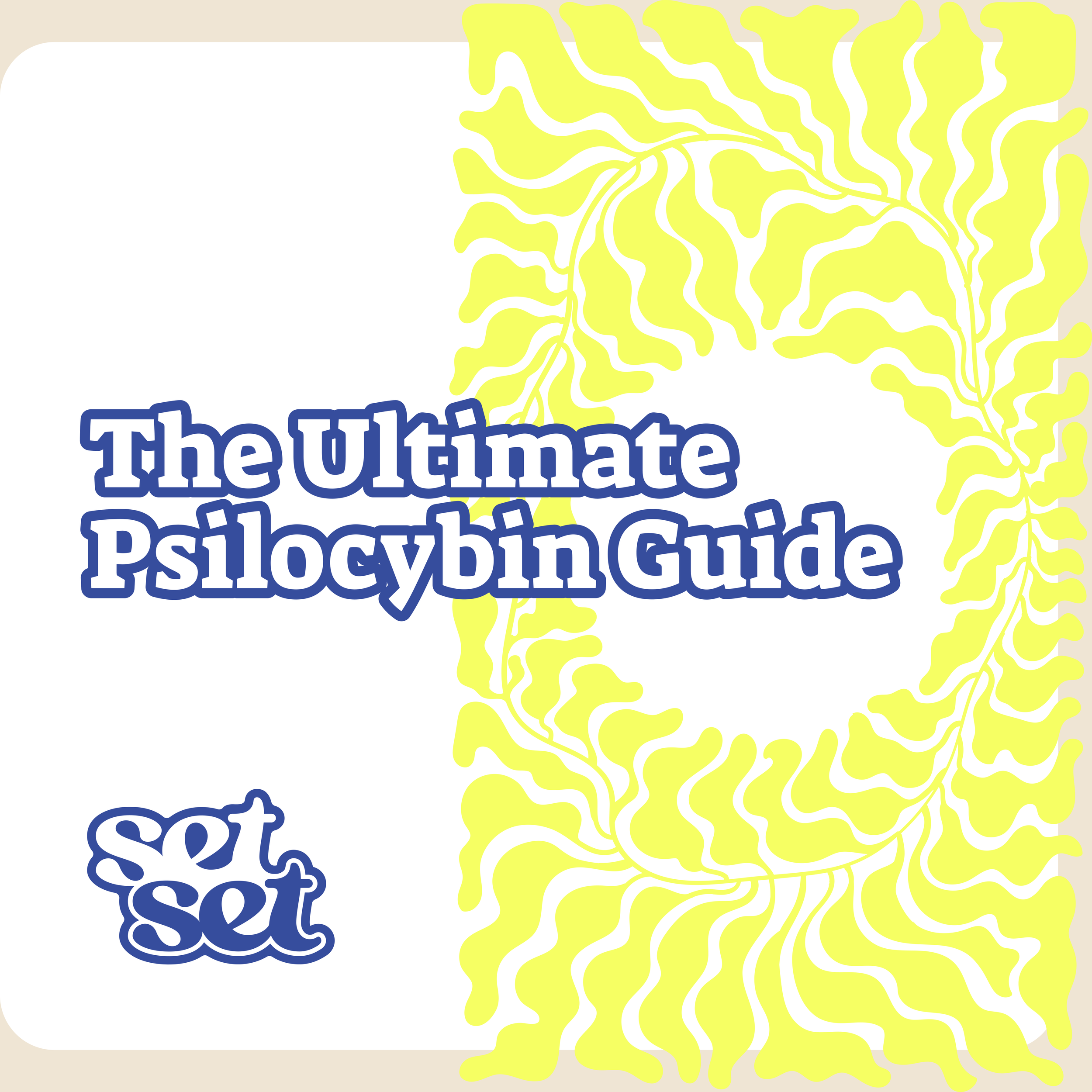 Psilocybin Medicine Guide