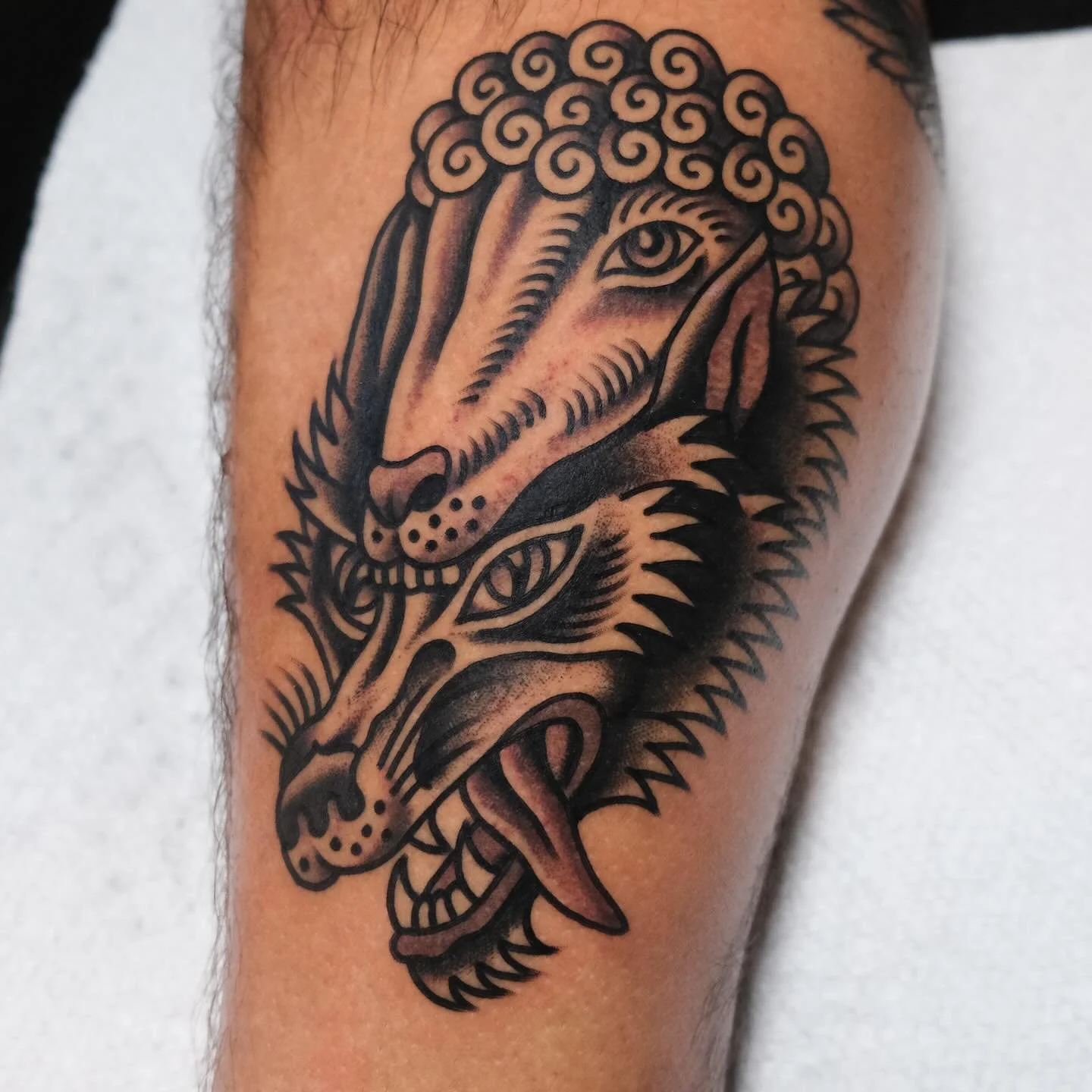 Beware of wolves disguised as sheep @keepsakeokc 

Book now at keepsakeokc.com!!

#tattoo #tattoos #oklahoma #oklahomacity #oklahomacitytattoo #oklahomatattoo #oklahomatattooartist #oklahomacitytattooartist #traditionaltattoo #oldschooltattoo #bright