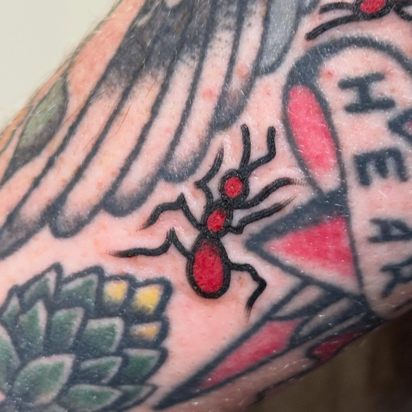 The ants go marchin&rsquo; @keepsakeokc

We will be moving the shop to 41st and Western this next week, can&rsquo;t wait to see y&rsquo;all there!

If you&rsquo;d like to get on the books just reach out and I&rsquo;ll get to you soon as possible!

#o