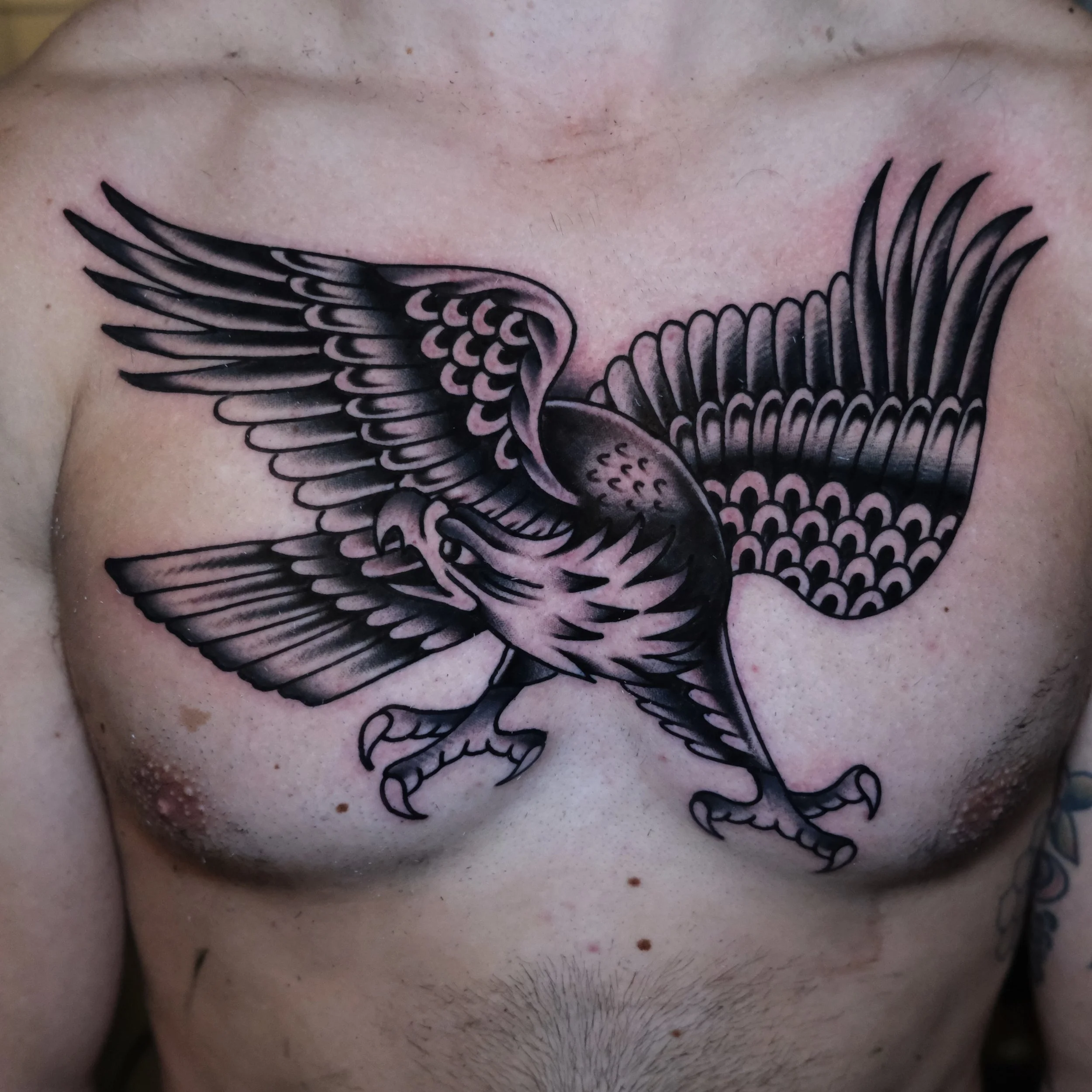 One shot chest eagle made at the one and only @tattoomaniadallas 

Had such a blast as always, many thanks to @sacredpanther and the whole @salvation_tattoo crew!