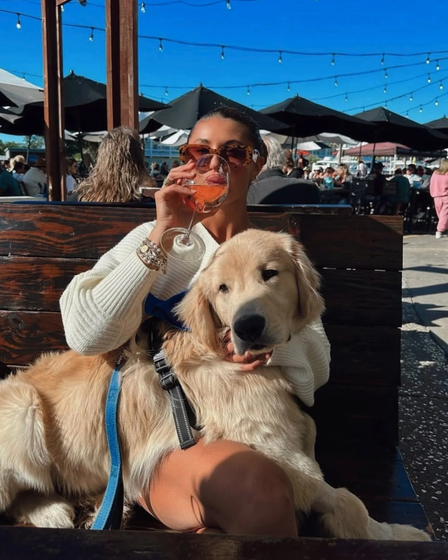 Dog-Friendly Dining (and Adventures) In the Charleston Area