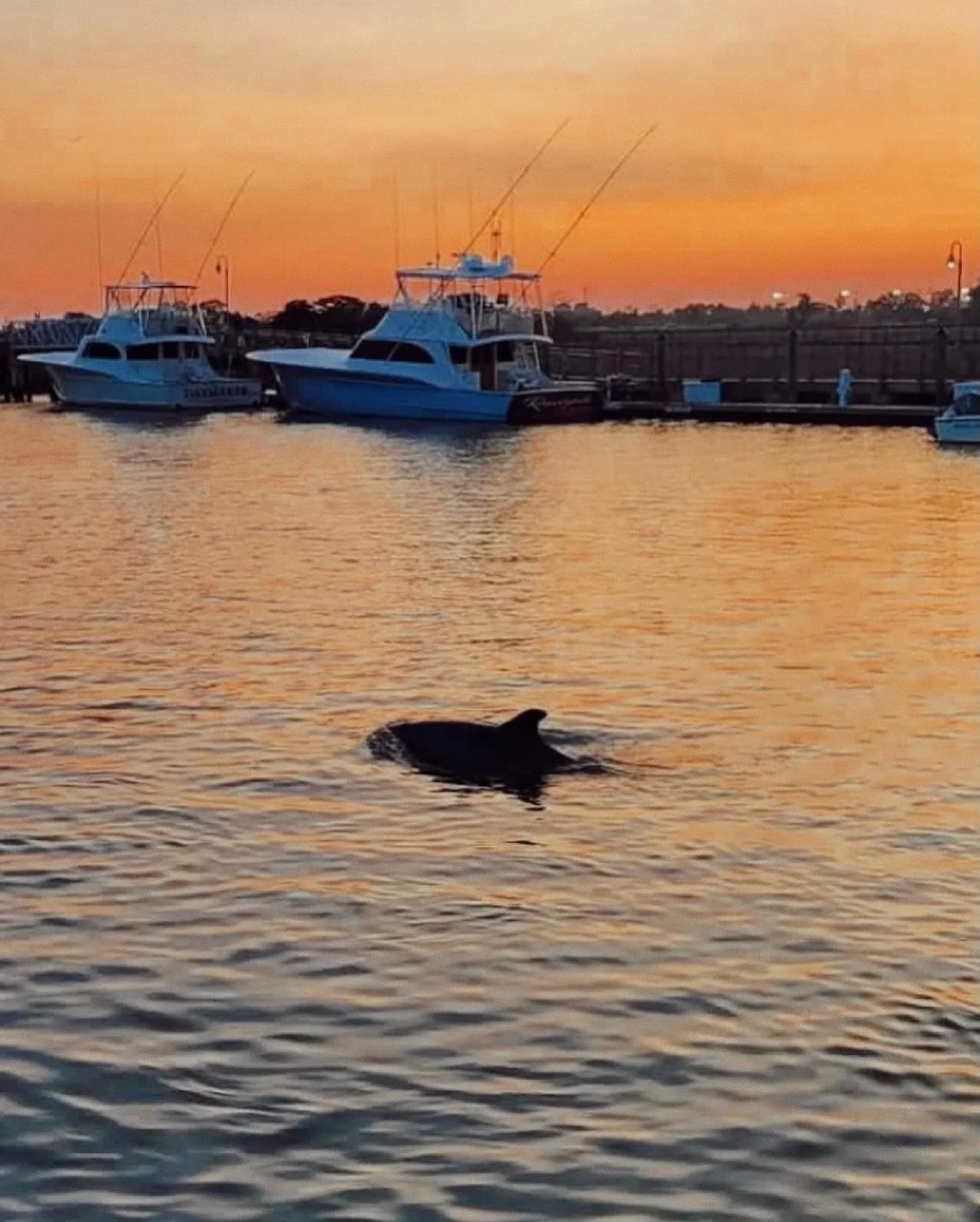 𝐖𝐄𝐄𝐊𝐄𝐍𝐃 𝐌𝐔𝐒𝐈𝐂 𝐋𝐈𝐍𝐄𝐔𝐏 🤠🍂🌾
🎵 𝐅𝐑𝐈𝐃𝐀𝐘
@cabanavibez 6-10
🎵 𝐒𝐀𝐋𝐓𝐘 𝐒𝐀𝐓𝐔𝐑𝐃𝐀𝐘
@follow_jane 1-4
@cabanavibez 4-8
DJ Discreet 8-11
🎵 𝐒𝐔𝐍𝐃𝐀𝐘 𝐁𝐑𝐔𝐍𝐂𝐇 𝟏𝟎𝐀𝐌
@rotiesalley 11-2
@sethgmusic 2-5