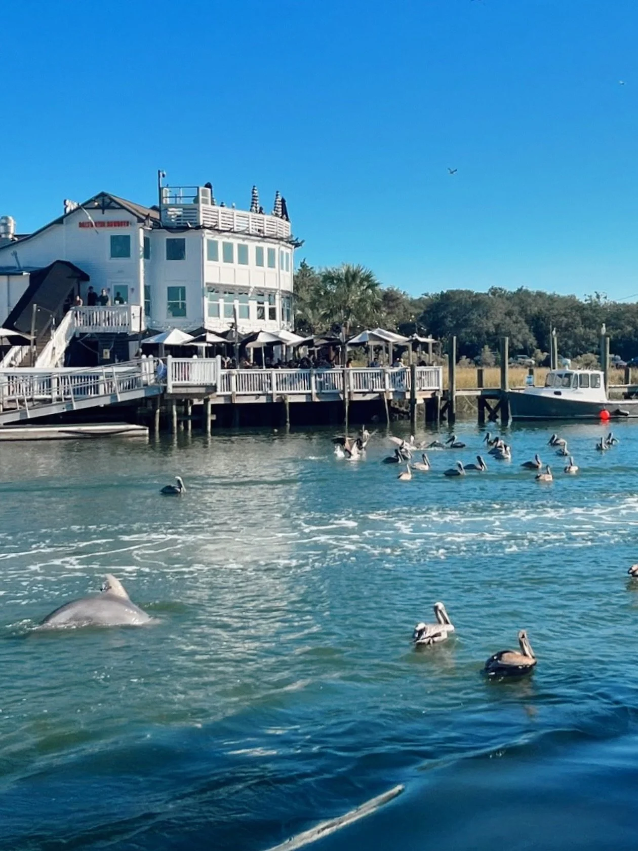 As they say&hellip; Good things are worth the wait. 🤠
Our renovations are underway and requiring a few more days than expected.
Good news: The Wagon remains open for all your SWC favorites! Order online for delivery or pick-up.

☀️ DOORS REOPEN FRID