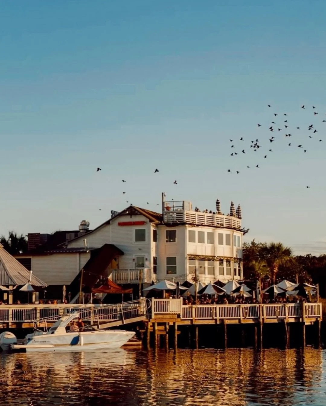 We love ya Charleston! Thank you for the @chascitypaper Best of Charleston nominations!
We would so appreciate your final vote in the following categories &darr; &darr; &darr;
★ Best Pet Friendly Bar or Restaurant
★  Best Mount Pleasant Bar
★  Best A