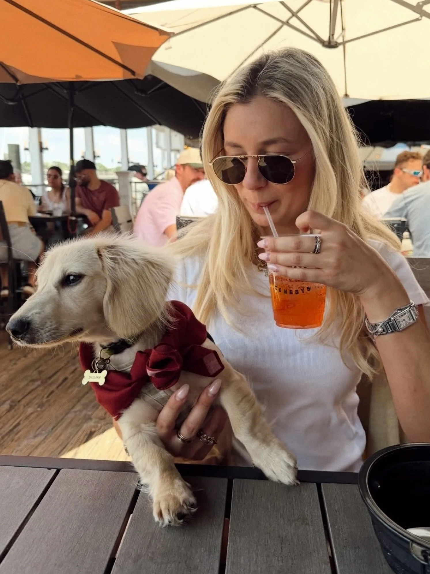 Salty Saturday. Deck dogs. Creekside cocktails&hellip; Say less.

📸: @cliffordcouvillion