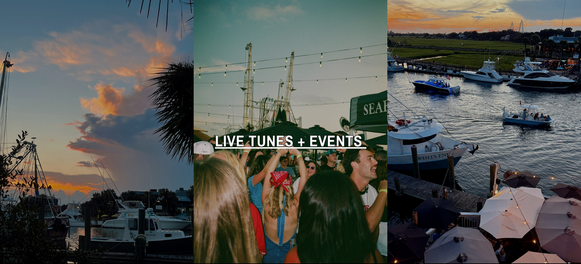 LIVE TUNES + EVENTS CALENDAR.png