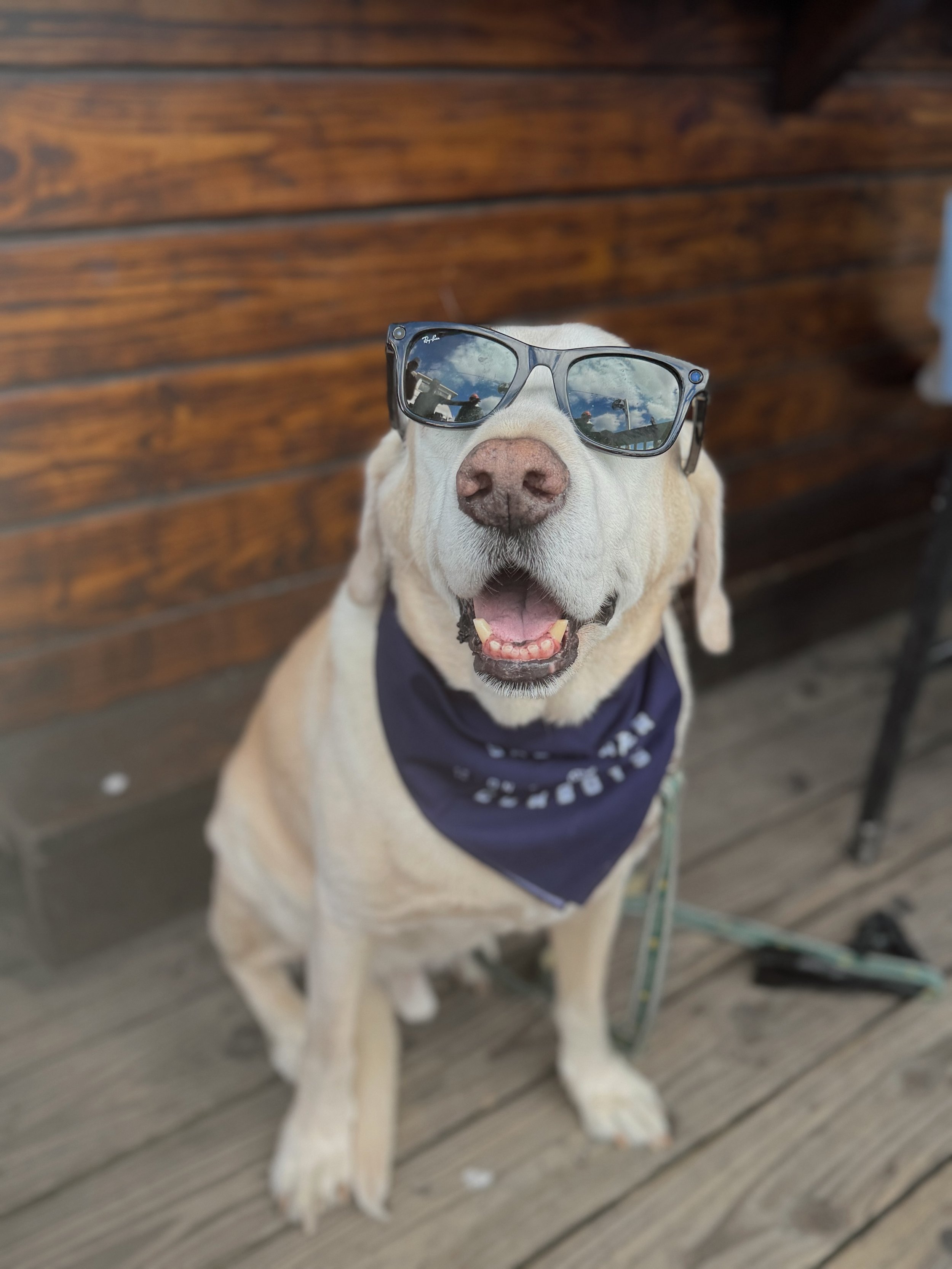 The man, the myth, the legend&hellip; @charlestonmax 💙 Let&rsquo;s Salty Saturday!