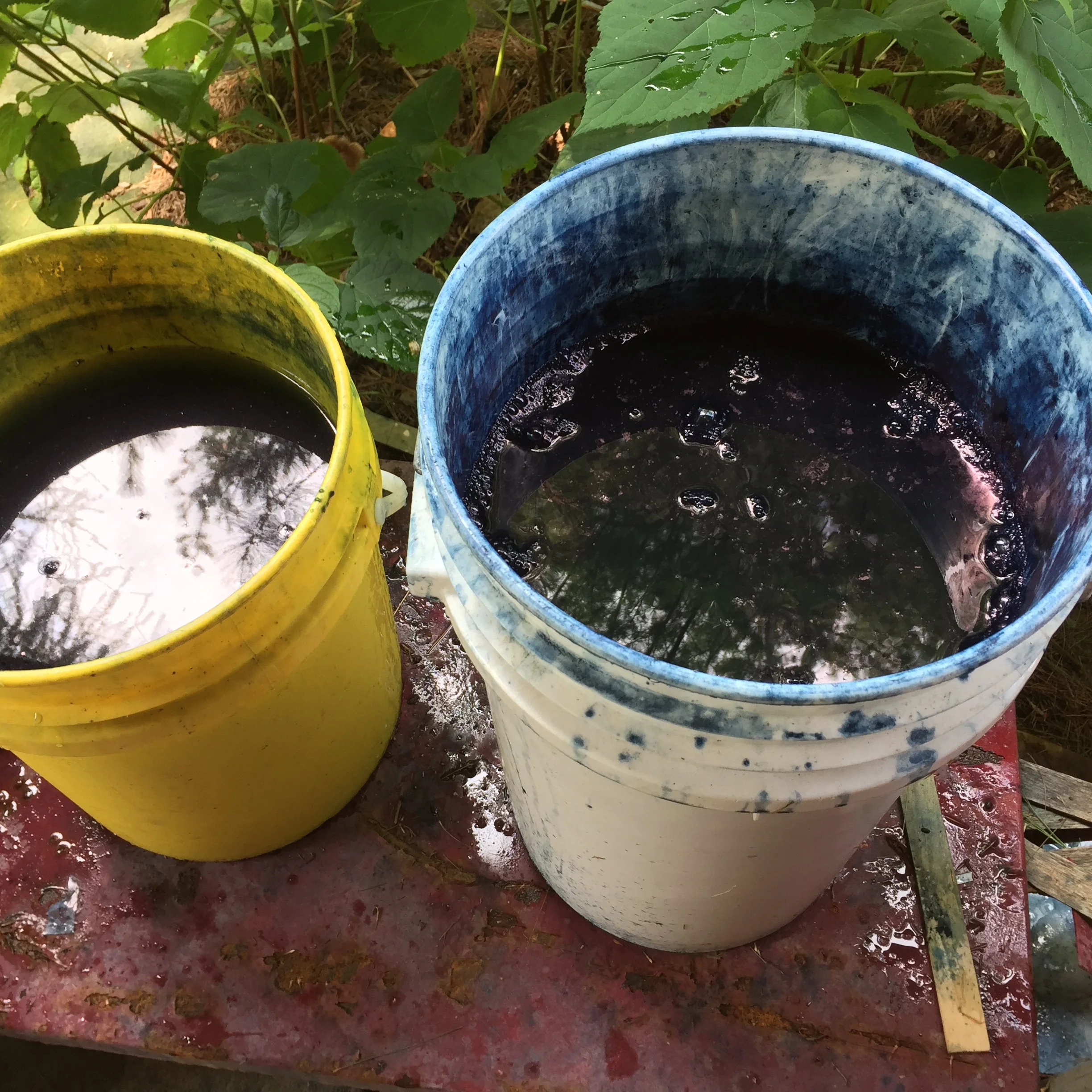 From Dye to Digital: How I Turn Hand-Dyed Art Into Surface Patterns