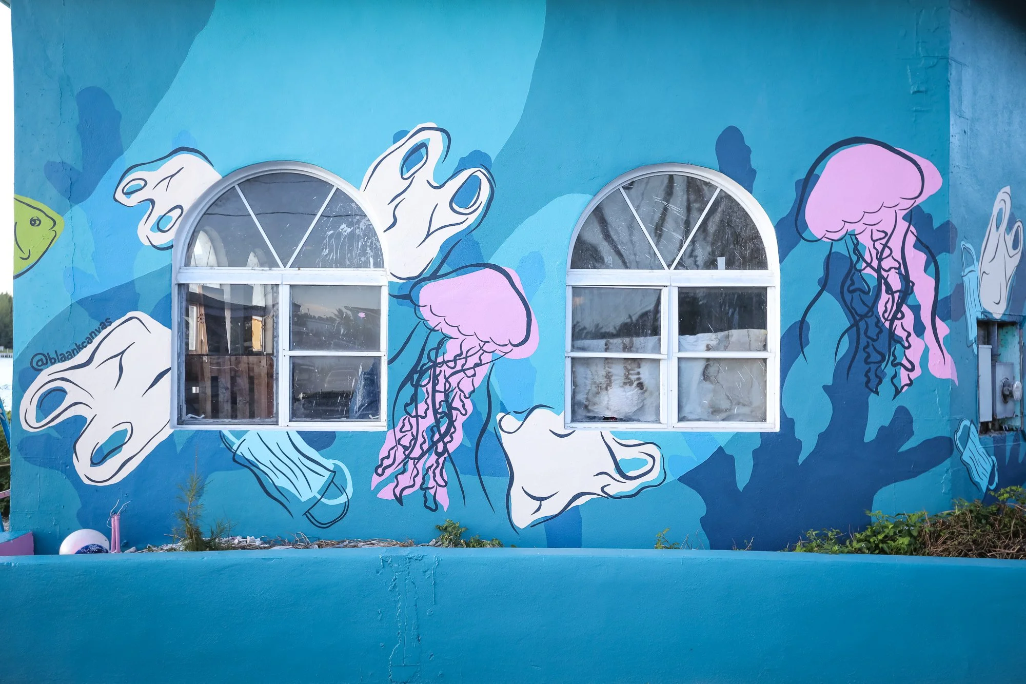Angelika_Whitfiled_Wallace_Sea_Walls_Bimini_Oct_2021_3.jpg