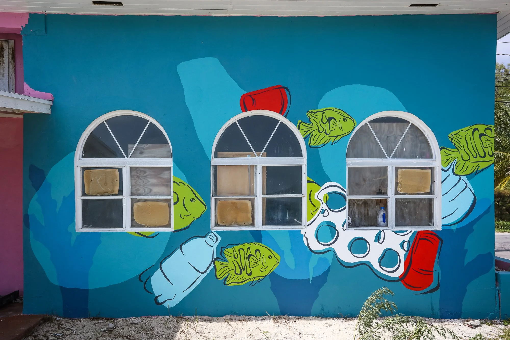Angelika_Whitfiled_Wallace_Sea_Walls_Bimini_Oct_2021_10.jpg