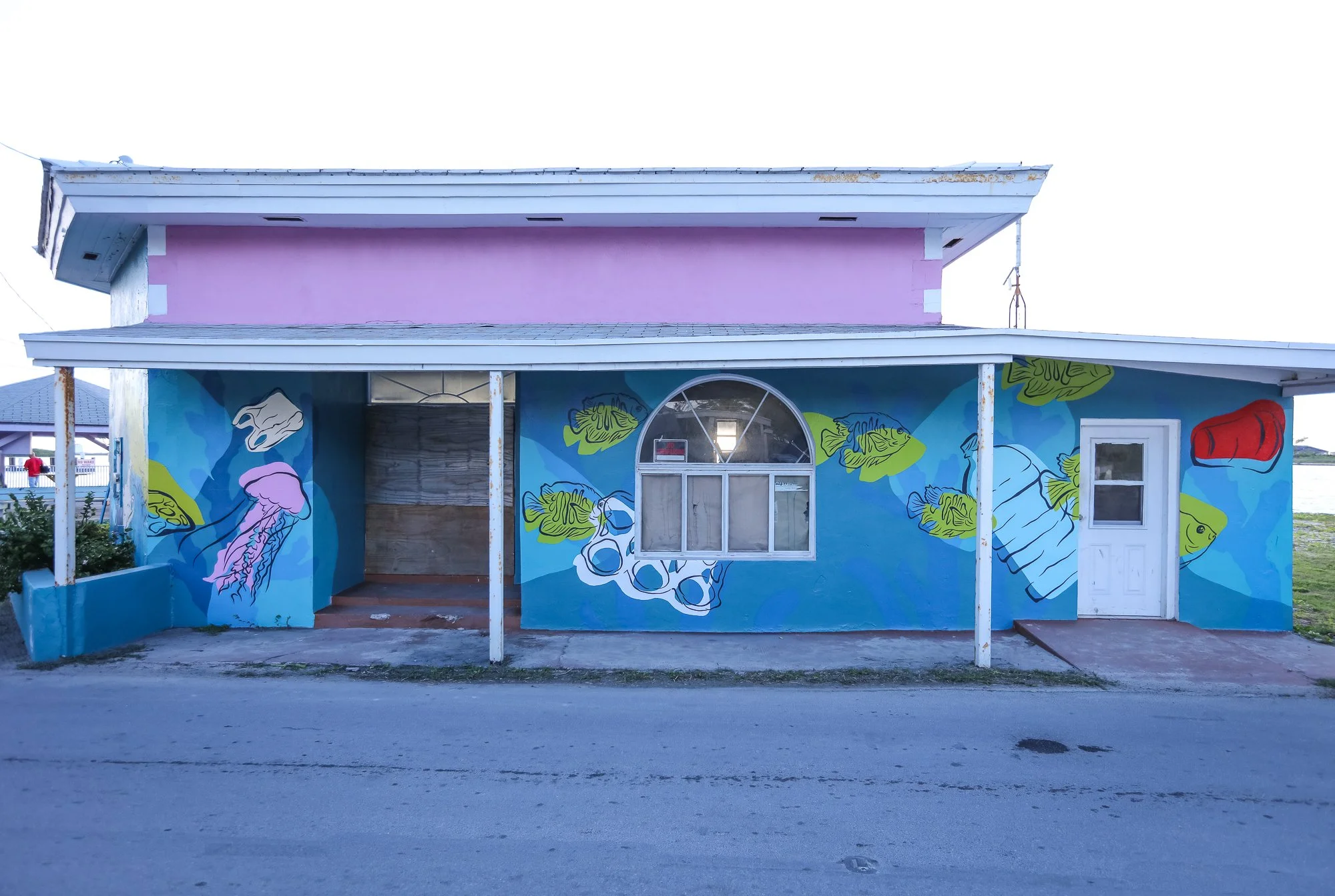 Angelika_Whitfiled_Wallace_Sea_Walls_Bimini_Oct_2021_4.jpg