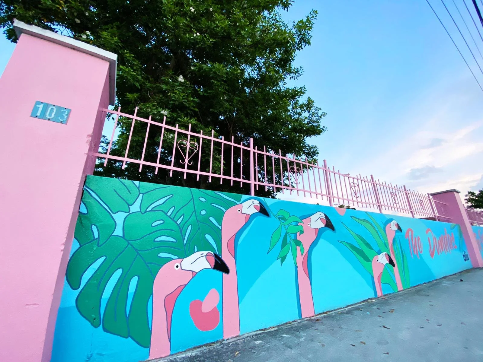 2042ea1f-9dea-496a-a8bd-419026c98c69 3.JPG