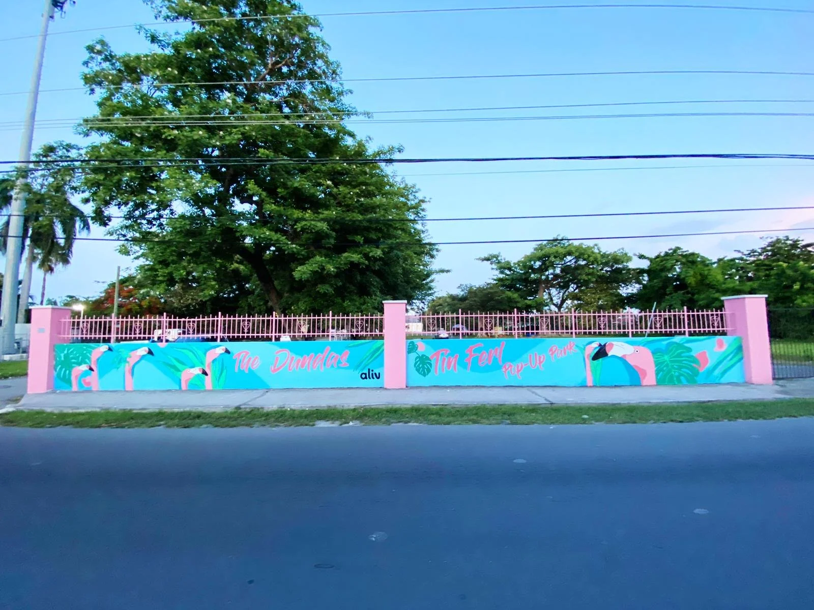 bd908a24-e980-4b74-8c08-c45dd8267a0a 2.JPG