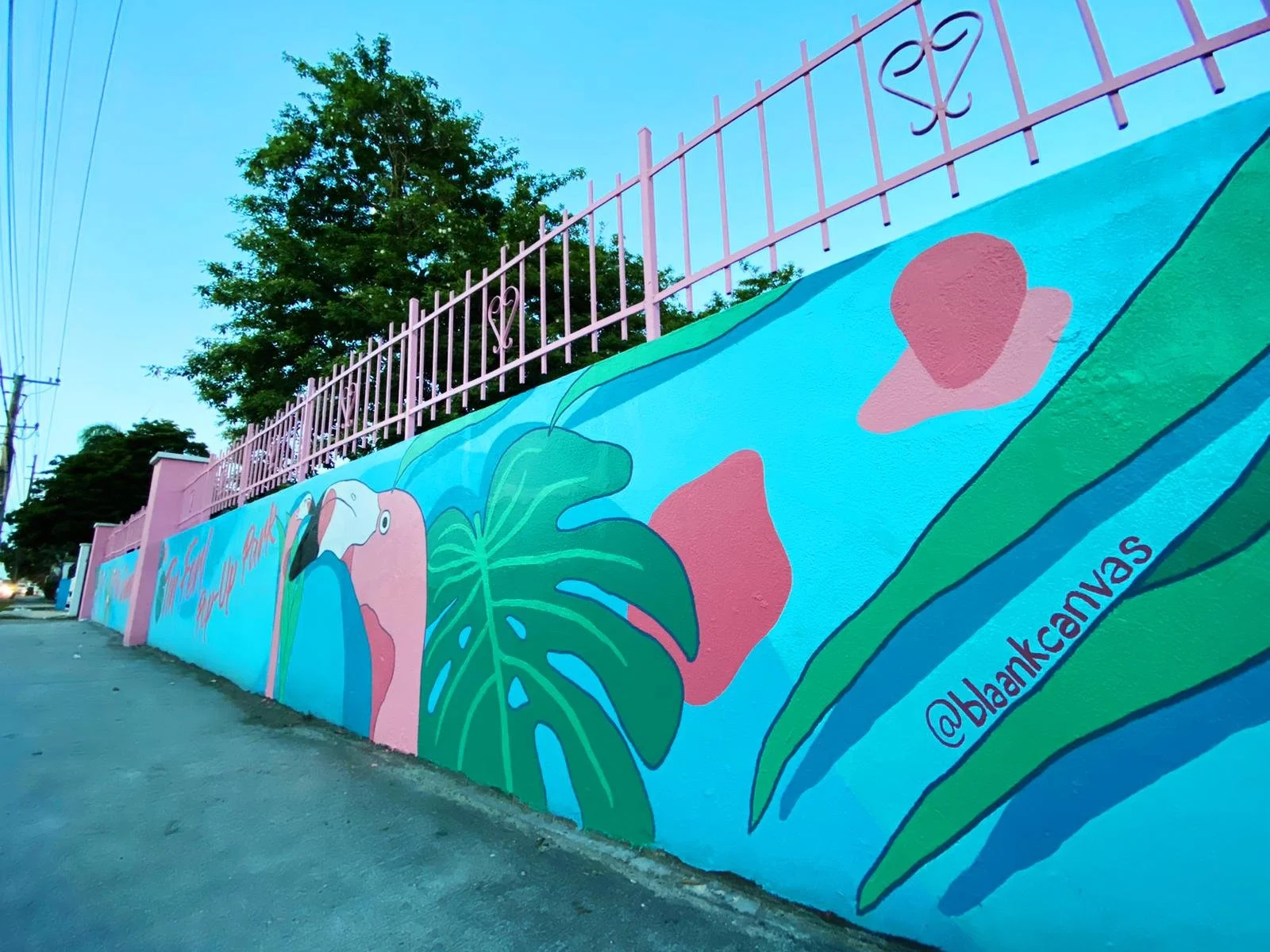 6bc4b382-82a4-495a-a87a-34bcd45097d6 3.JPG