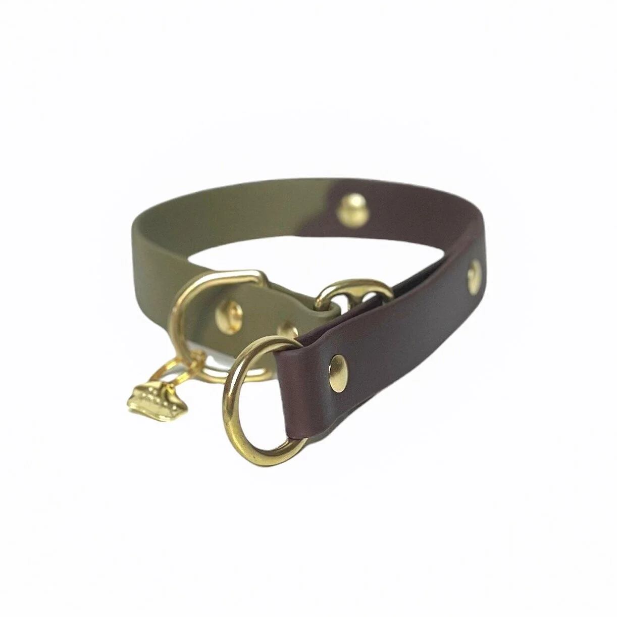 biothane slip collar